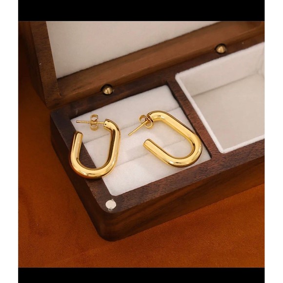 Round Planting Stainless Steel 18K gold plated Hoop Earrings - Picture 3 of 6